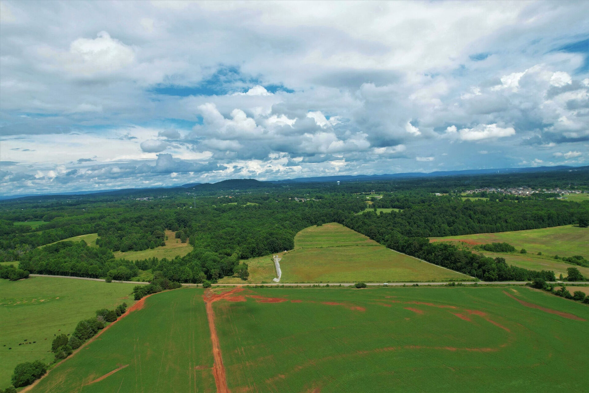 Houses for Sale in Limestone County, AL: Complete Buyer’s Guide